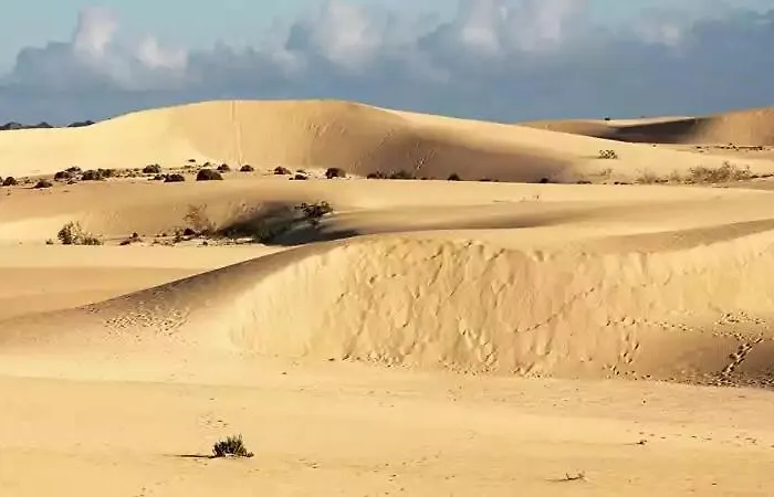 Ocean Bliss Apartamento *