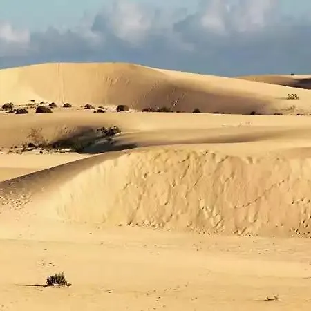 Ocean Bliss Apartment *